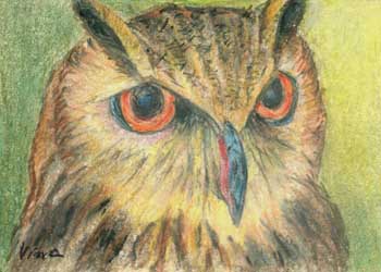 "Owl Smart" by Vina Yang, Verona WI - Pastel - SOLD